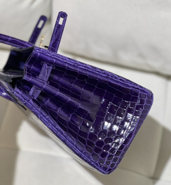 Birkin 25 Niloticus Crocodile“25*20*13CM”-00301=