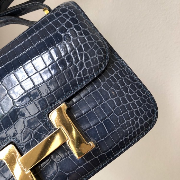 Constance 19 Porosus Crocodile“19*15*4CM”-00851=