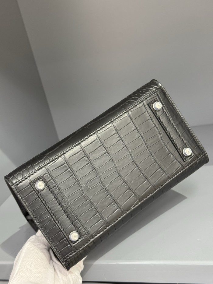 Binkin 20 Alligator“20*16*10CM”-00501=