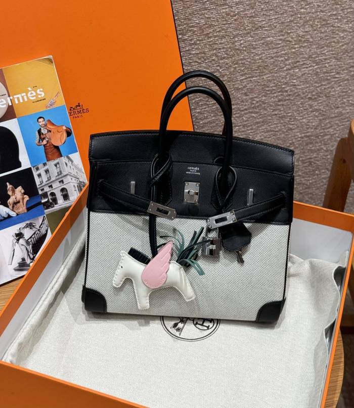 Birkin 25 Swift-Canvas“25*20*13CM”-0131=