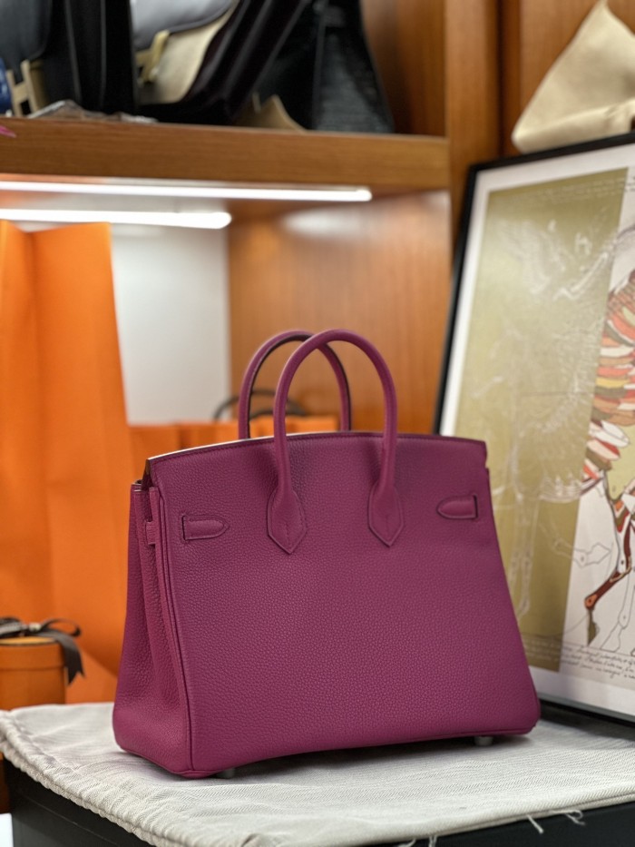 Birkin 25 Togo Leather“25*20*13CM”-0631=