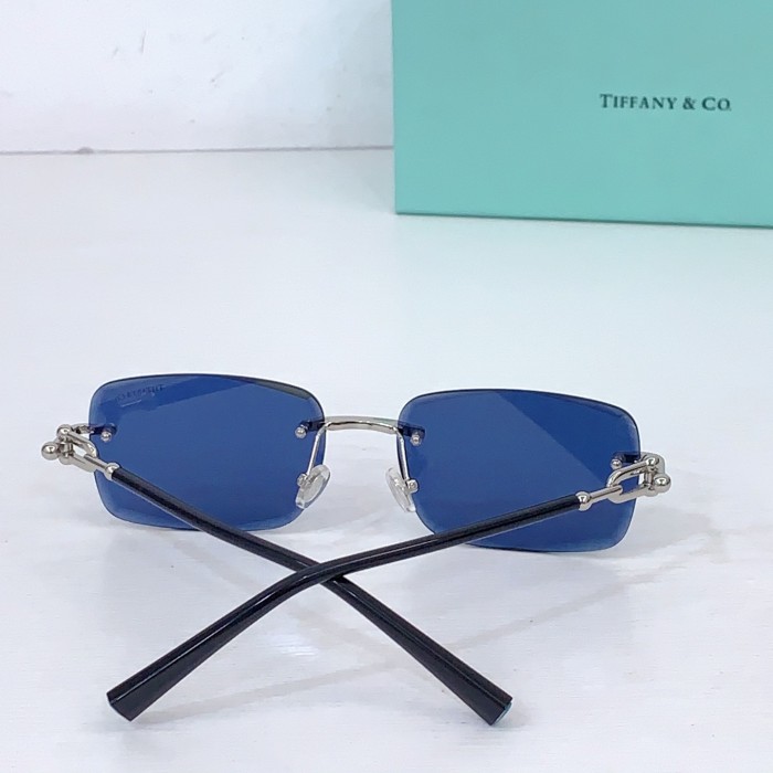 TIFFANY&CO SUNGLASSES-051