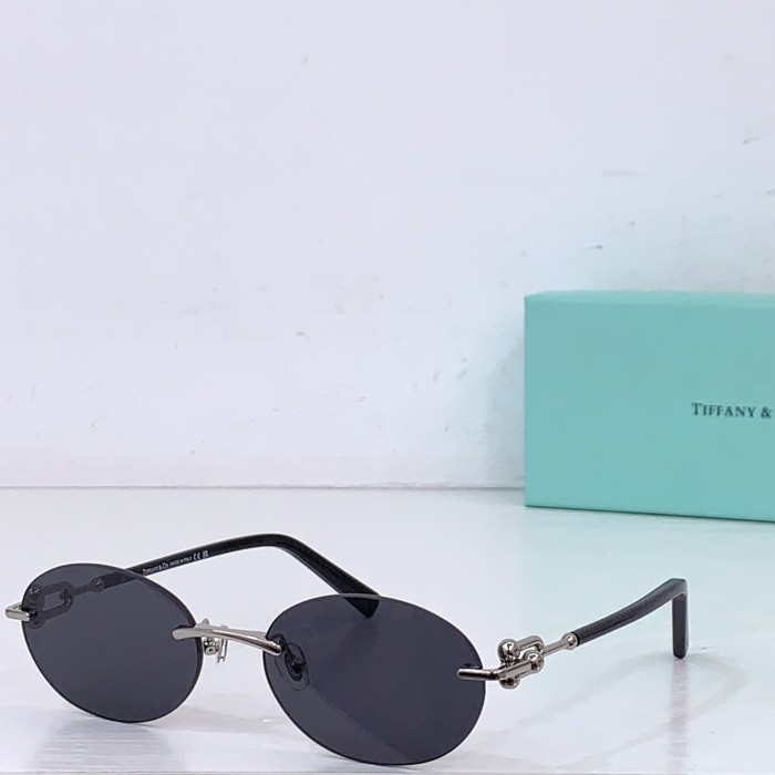 TIFFANY&CO SUNGLASSES-071
