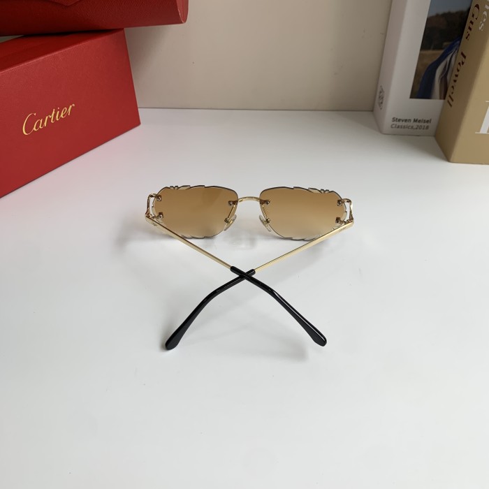 CARTIER SUNGLASSES-59