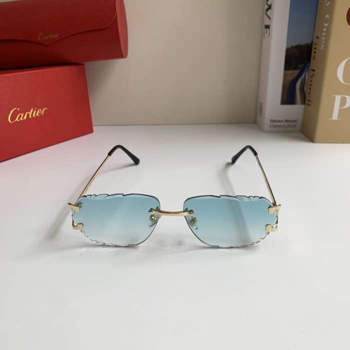 CARTIER SUNGLASSES-59