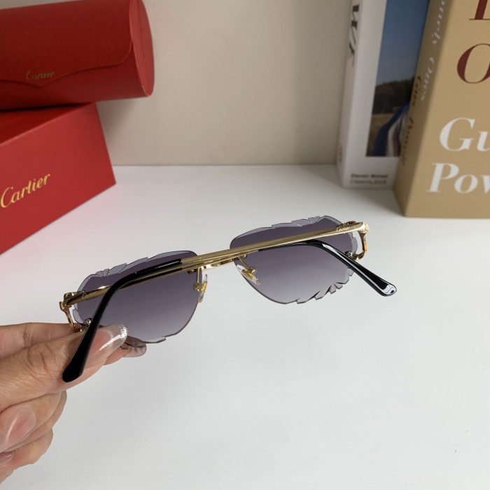 CARTIER SUNGLASSES-59
