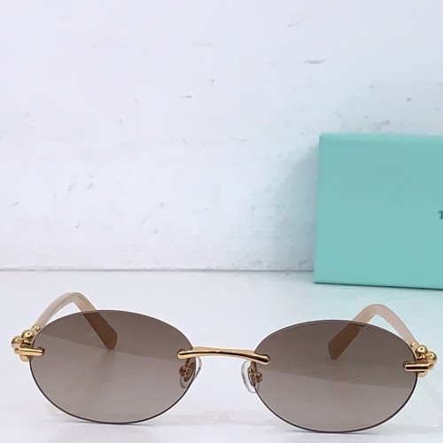 TIFFANY&CO SUNGLASSES-071