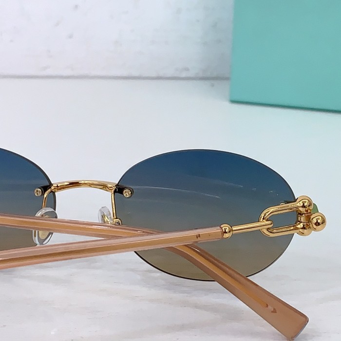 TIFFANY&CO SUNGLASSES-071