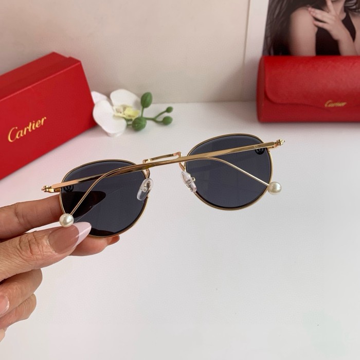 CARTIER SUNGLASSES-59