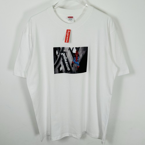 TEES