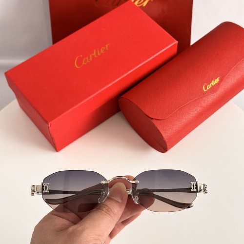 CARTIER SUNGLASSES-051