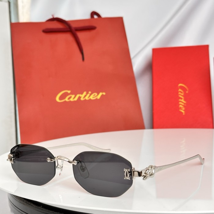 CARTIER SUNGLASSES-051