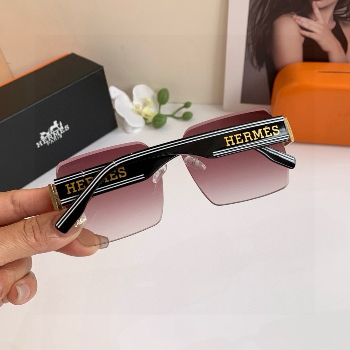 HERMES SUNGLASSES-09