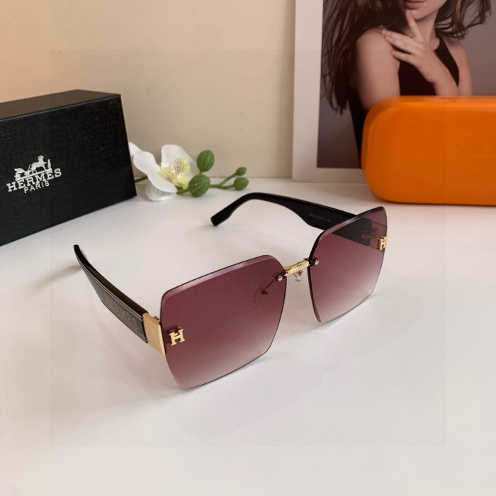 HERMES SUNGLASSES-09
