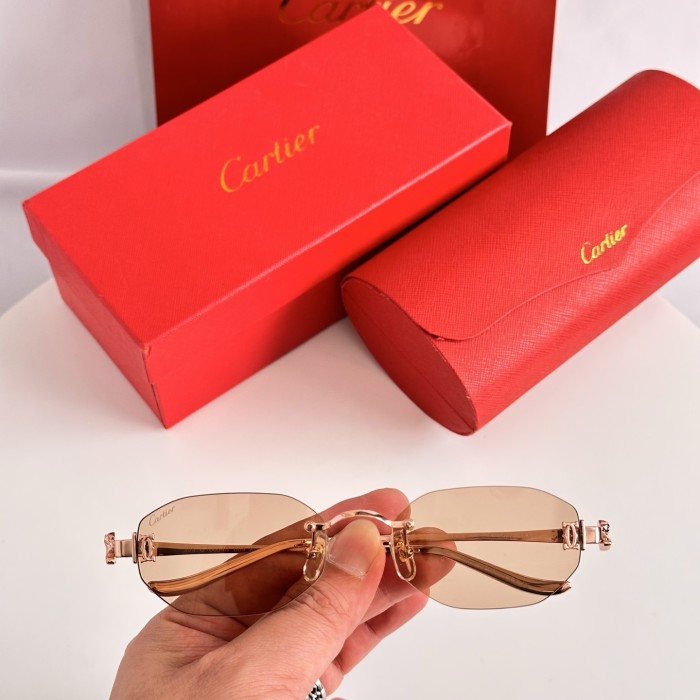 CARTIER SUNGLASSES-051