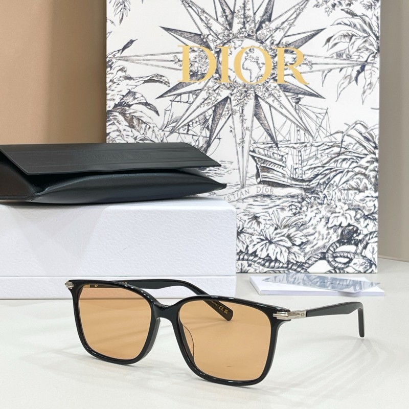 DIOR SUNGLASSES-051