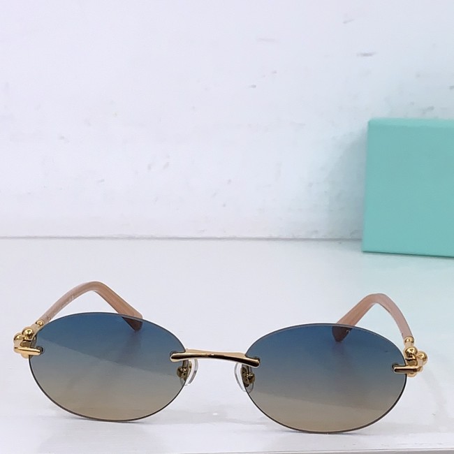 TIFFANY&CO SUNGLASSES-071
