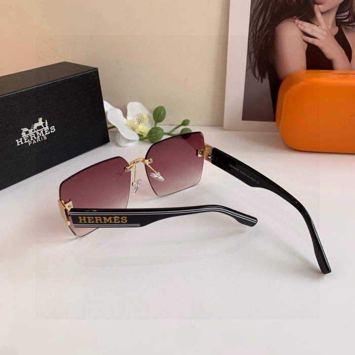 HERMES SUNGLASSES-09