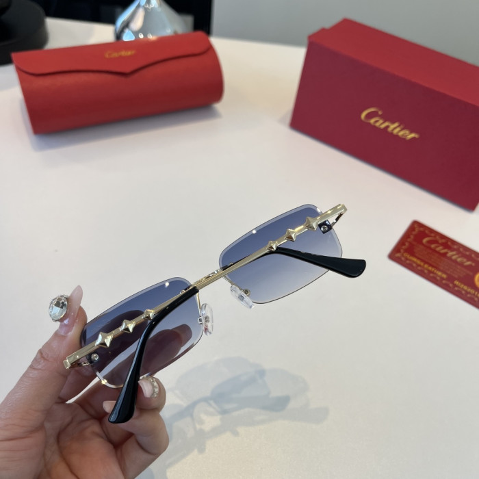 CARTIER SUNGLASSES-59