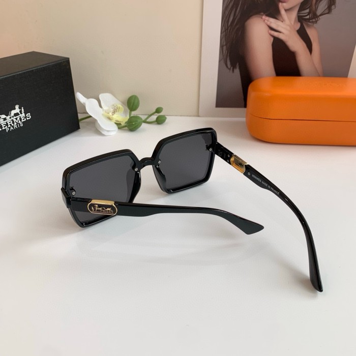 HERMES SUNGLASSES-58