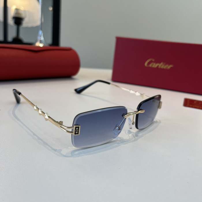 CARTIER SUNGLASSES-59