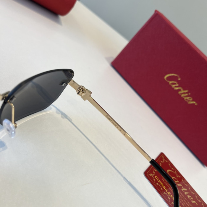 CARTIER SUNGLASSES-59