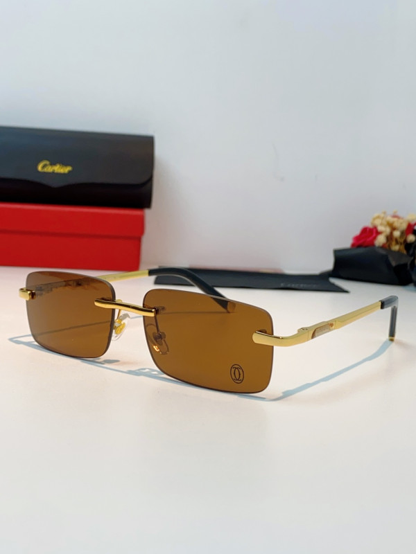 CARTIER SUNGLASSES-59