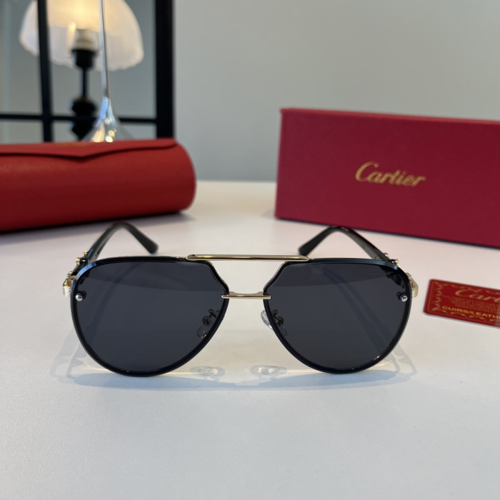 CARTIER SUNGLASSES-59