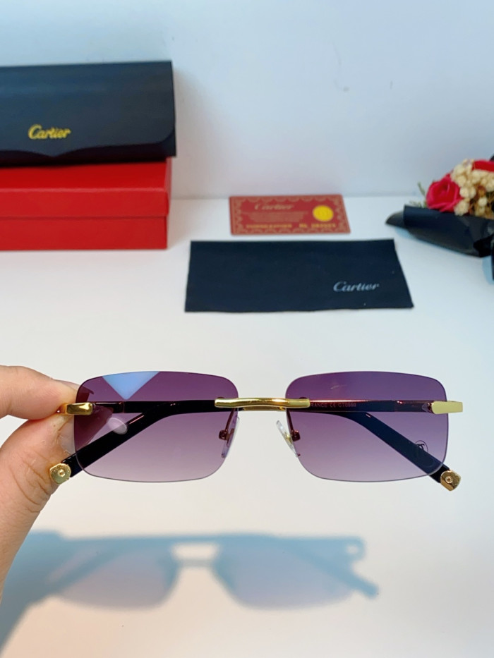 CARTIER SUNGLASSES-59