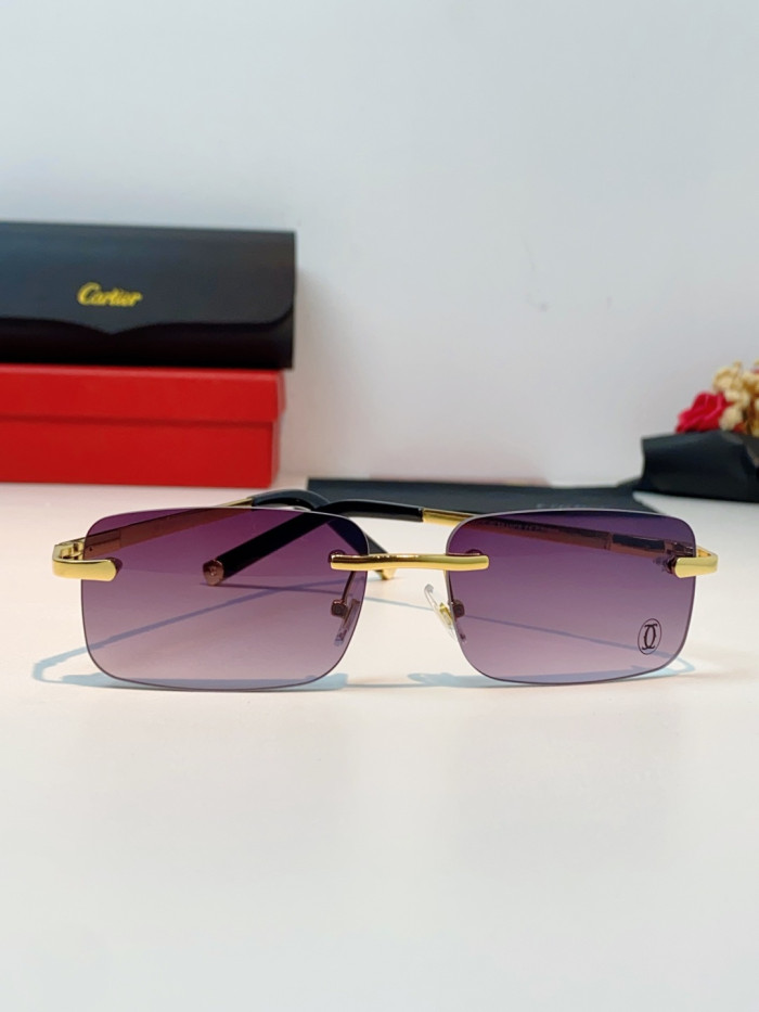 CARTIER SUNGLASSES-59