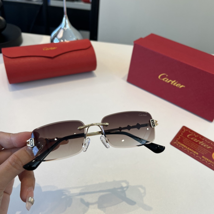 CARTIER SUNGLASSES-59