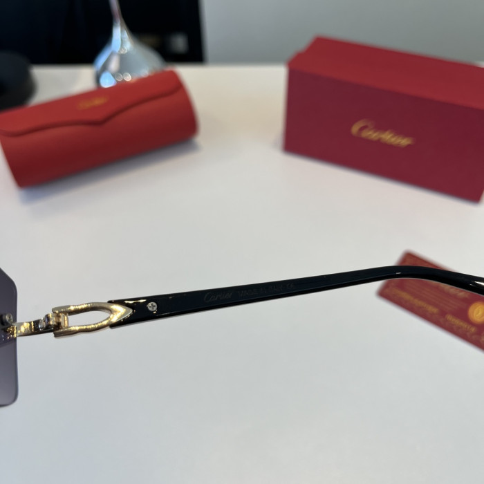 CARTIER SUNGLASSES-59