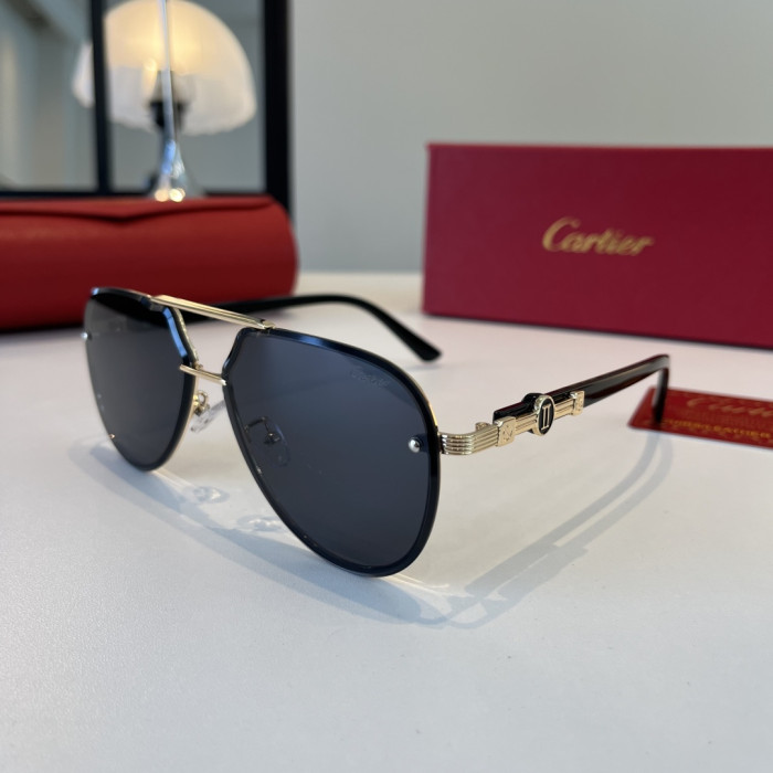 CARTIER SUNGLASSES-59