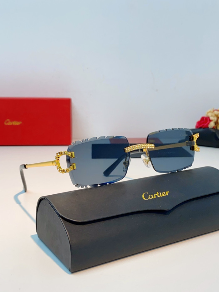 CARTIER SUNGLASSES-09