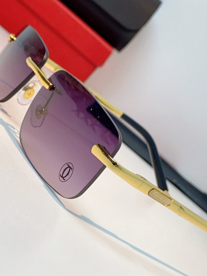 CARTIER SUNGLASSES-59