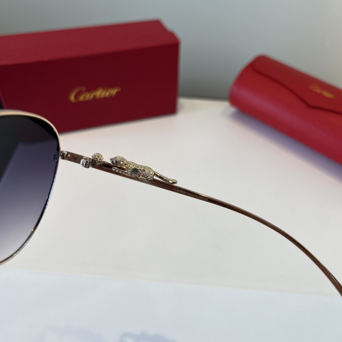 CARTIER SUNGLASSES-59