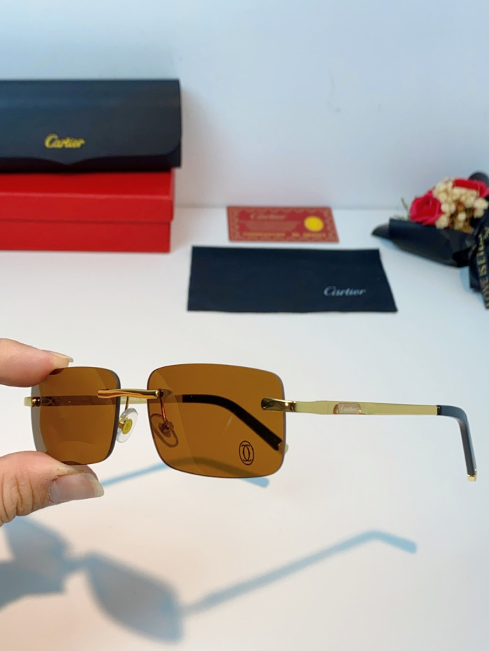 CARTIER SUNGLASSES-59