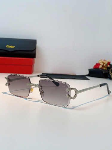CARTIER SUNGLASSES-59
