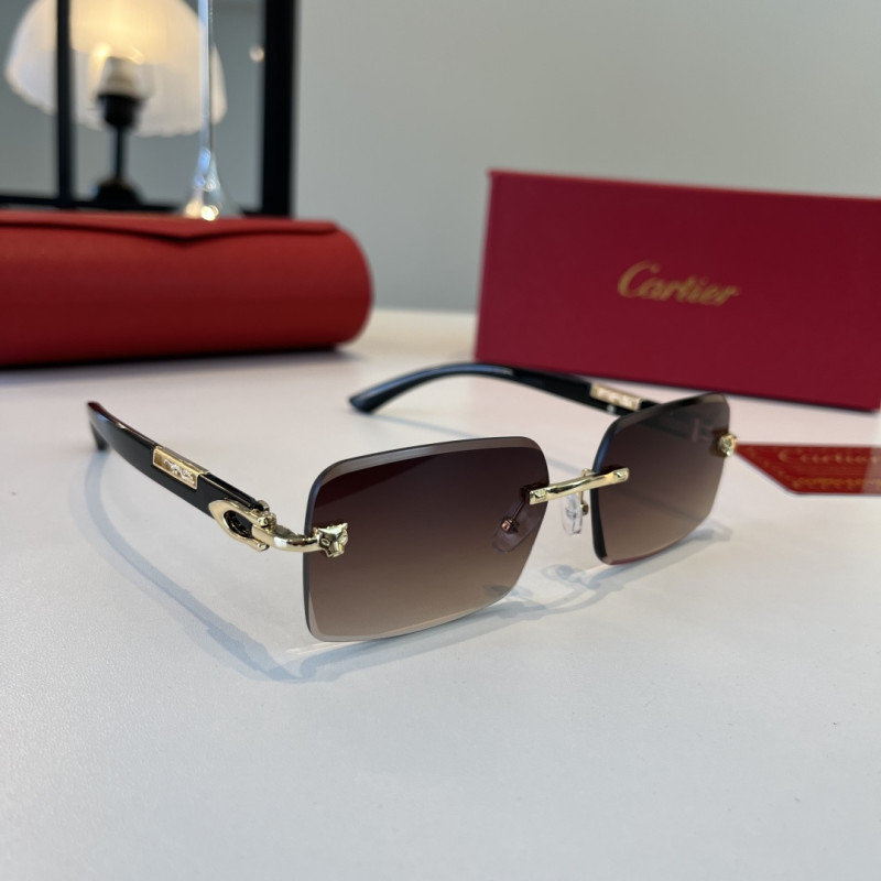 CARTIER SUNGLASSES-59