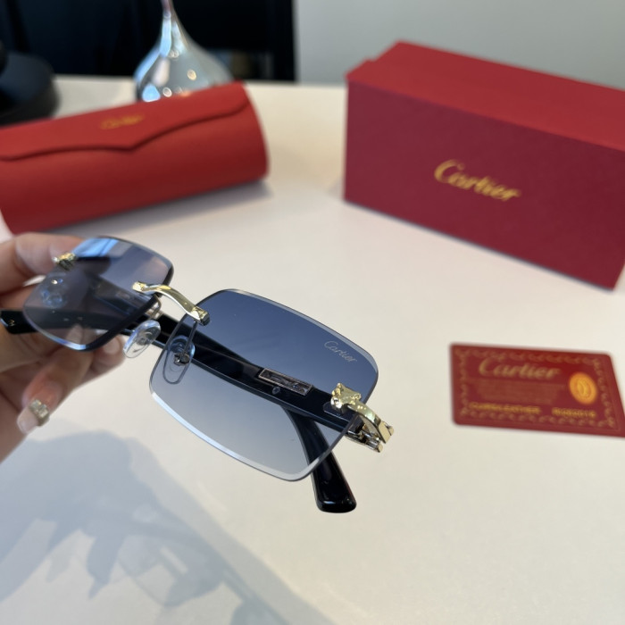 CARTIER SUNGLASSES-59