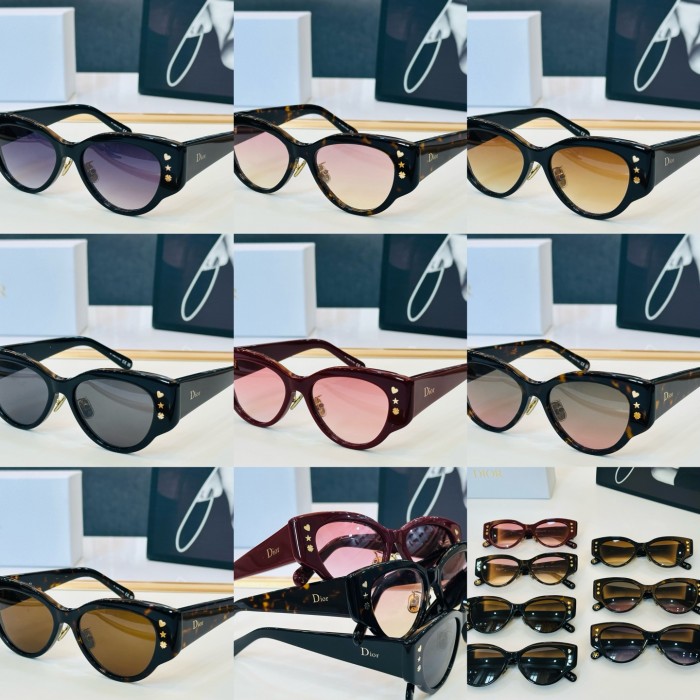 DIOR SUNGLASSES-041