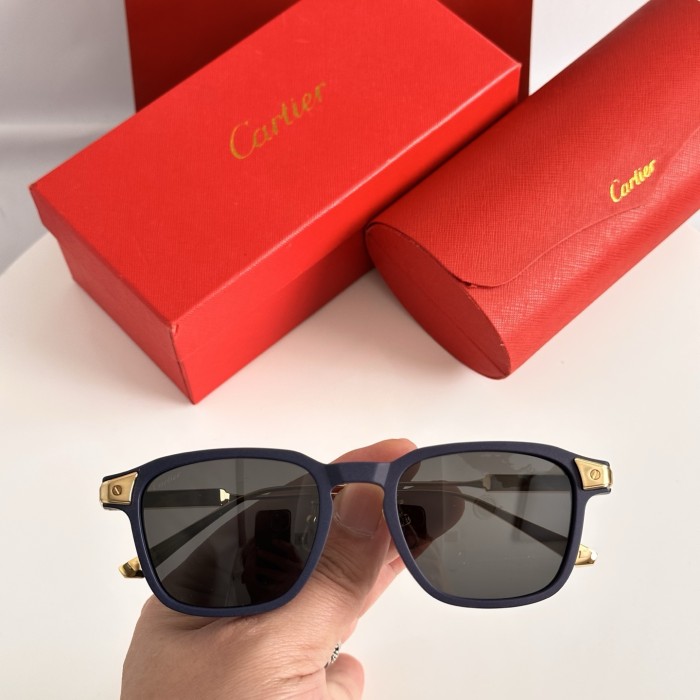 CARTIER SUNGLASSES-051