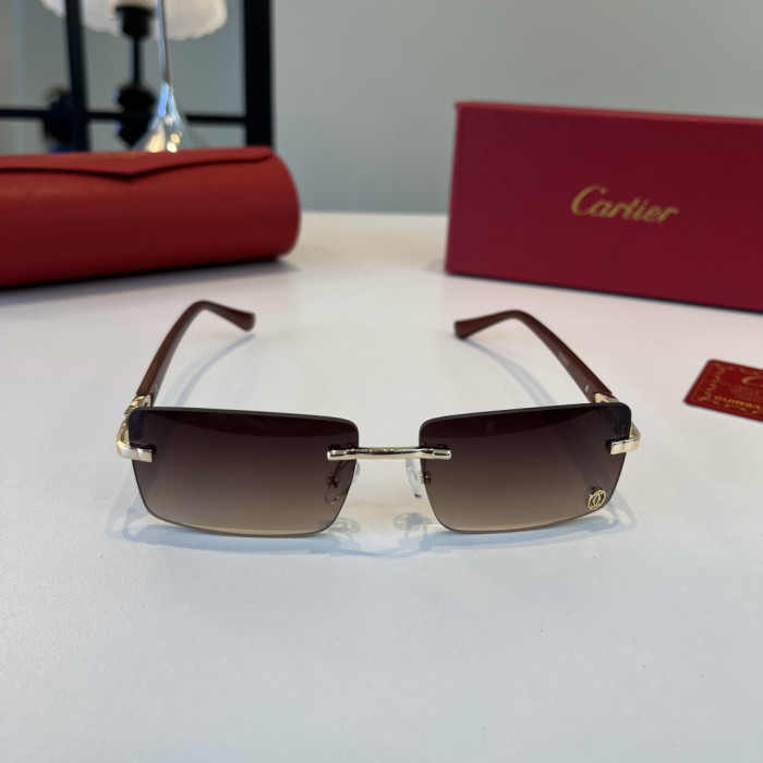 CARTIER SUNGLASSES-59
