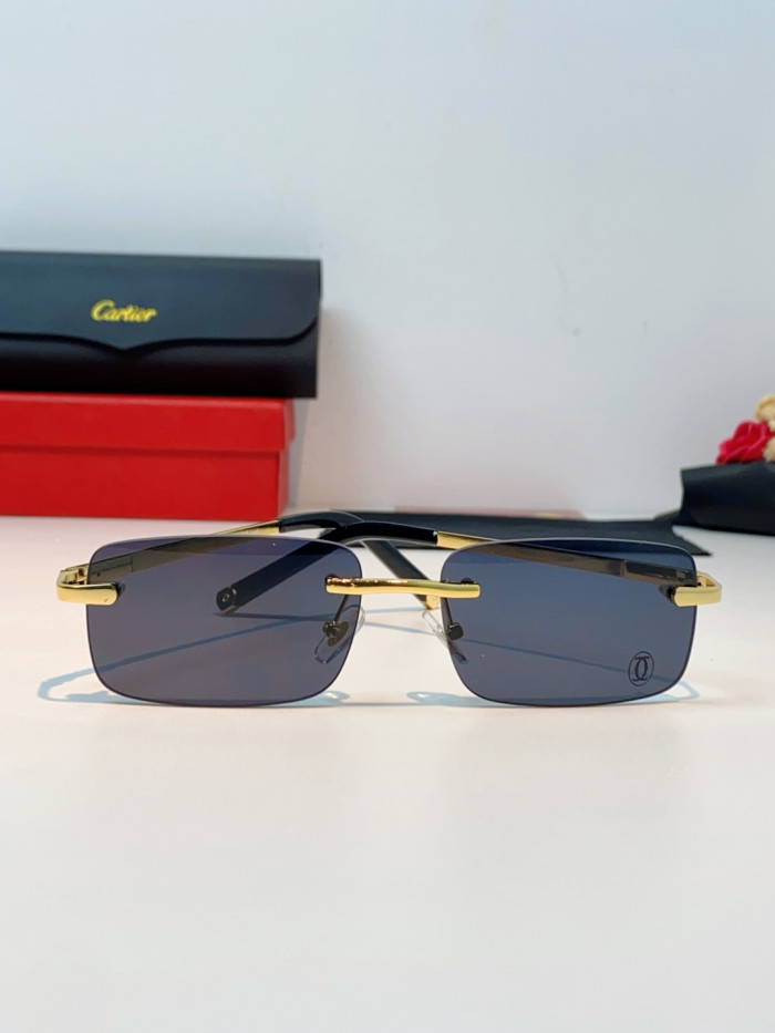CARTIER SUNGLASSES-59