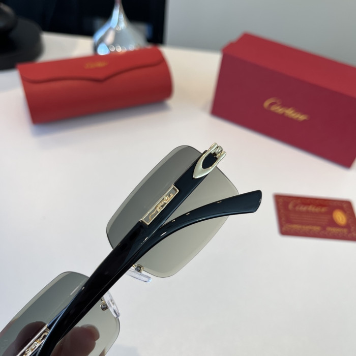 CARTIER SUNGLASSES-59