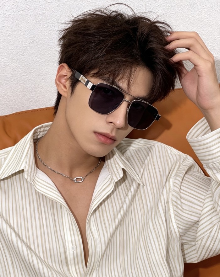 BURBERRY SUNGLASSES -09