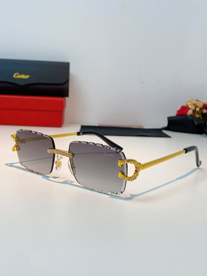 CARTIER SUNGLASSES-59