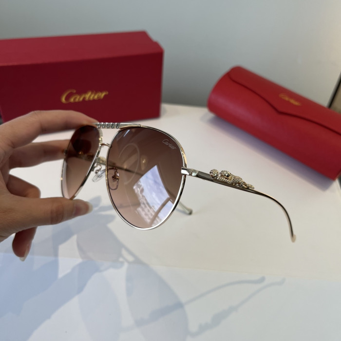 CARTIER SUNGLASSES-59