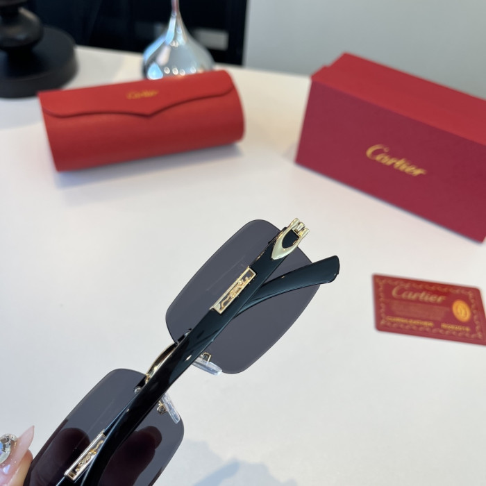 CARTIER SUNGLASSES-59