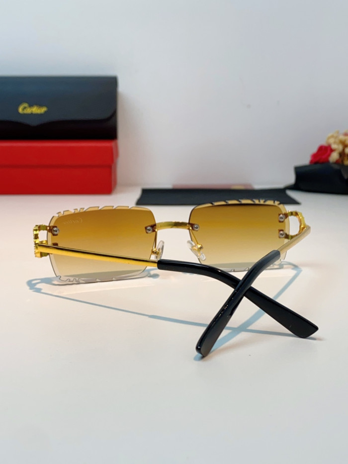 CARTIER SUNGLASSES-59